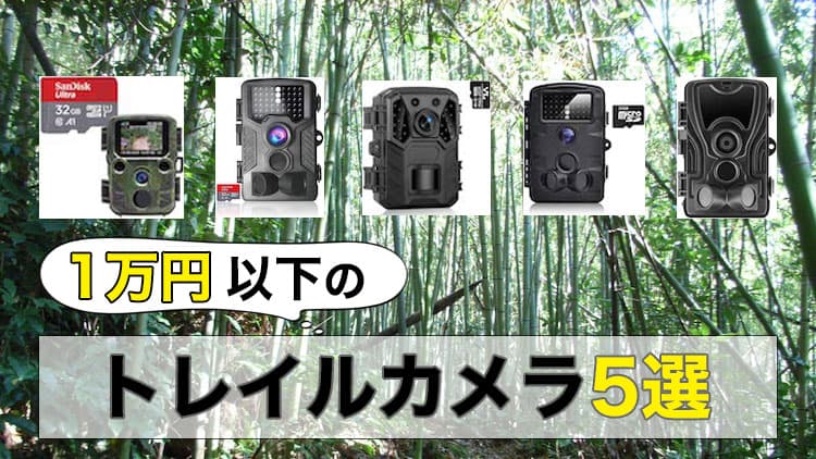 1万円以下で購入できる！おすすめのトレイルカメラ5選